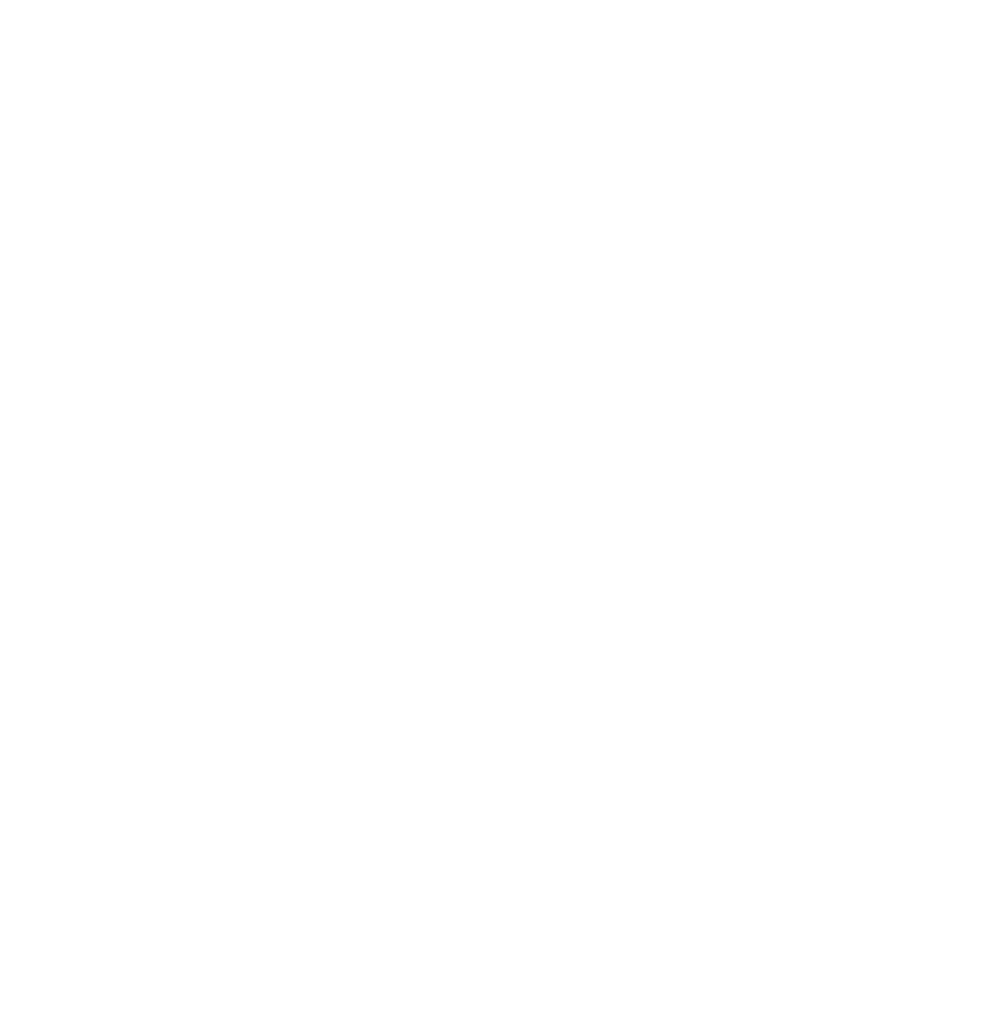 light logo